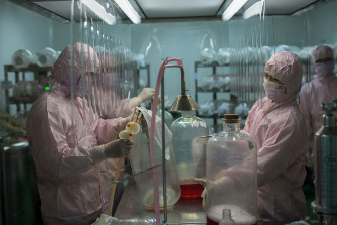 Rabies Vaccine Vero Cell