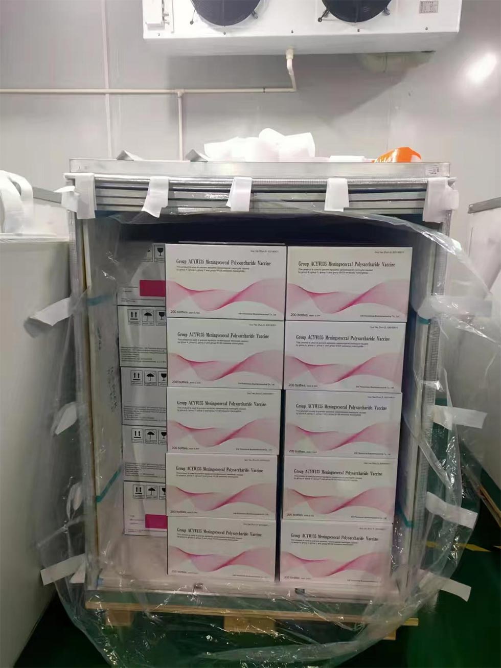 C-Type Meningitis Vaccine
